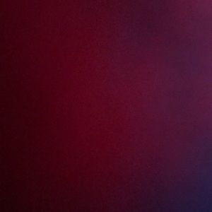 Meet your Posher, Bruno